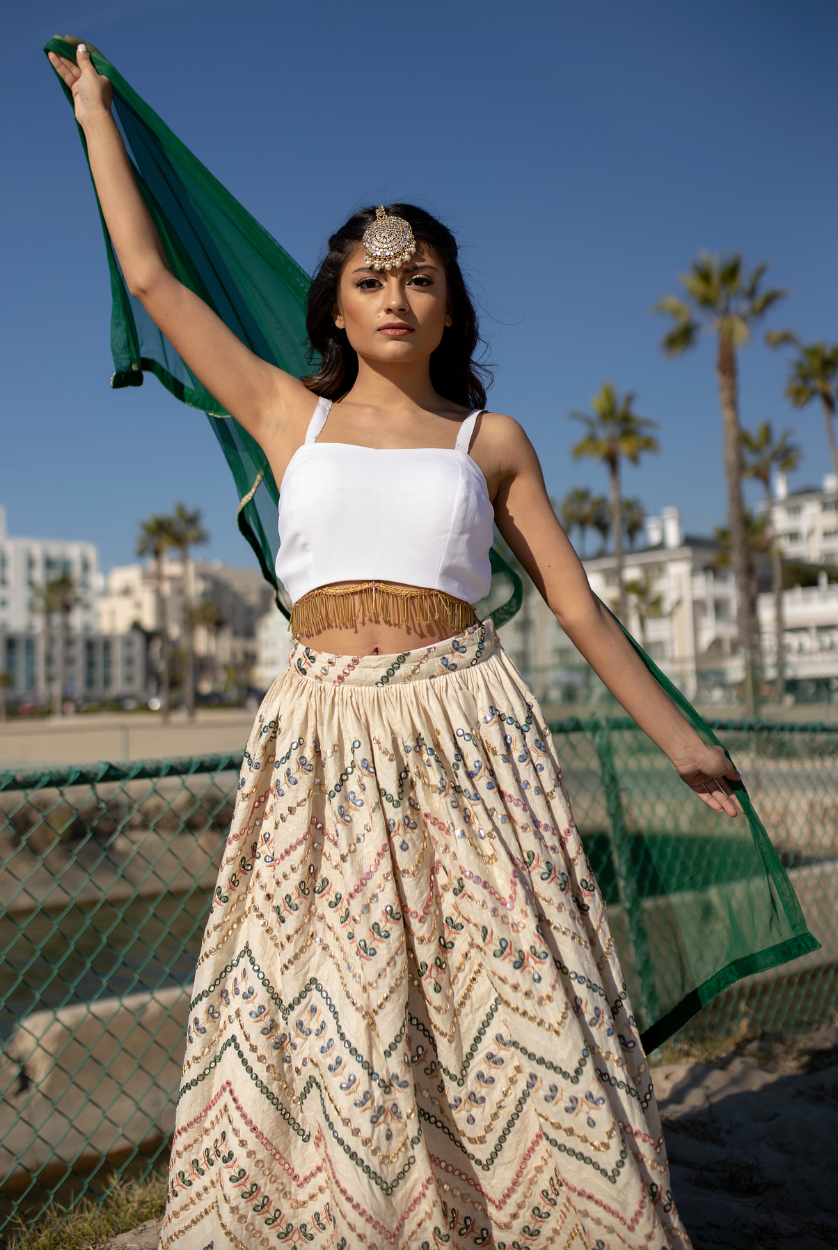 Embroidered lehenga skirt best sale